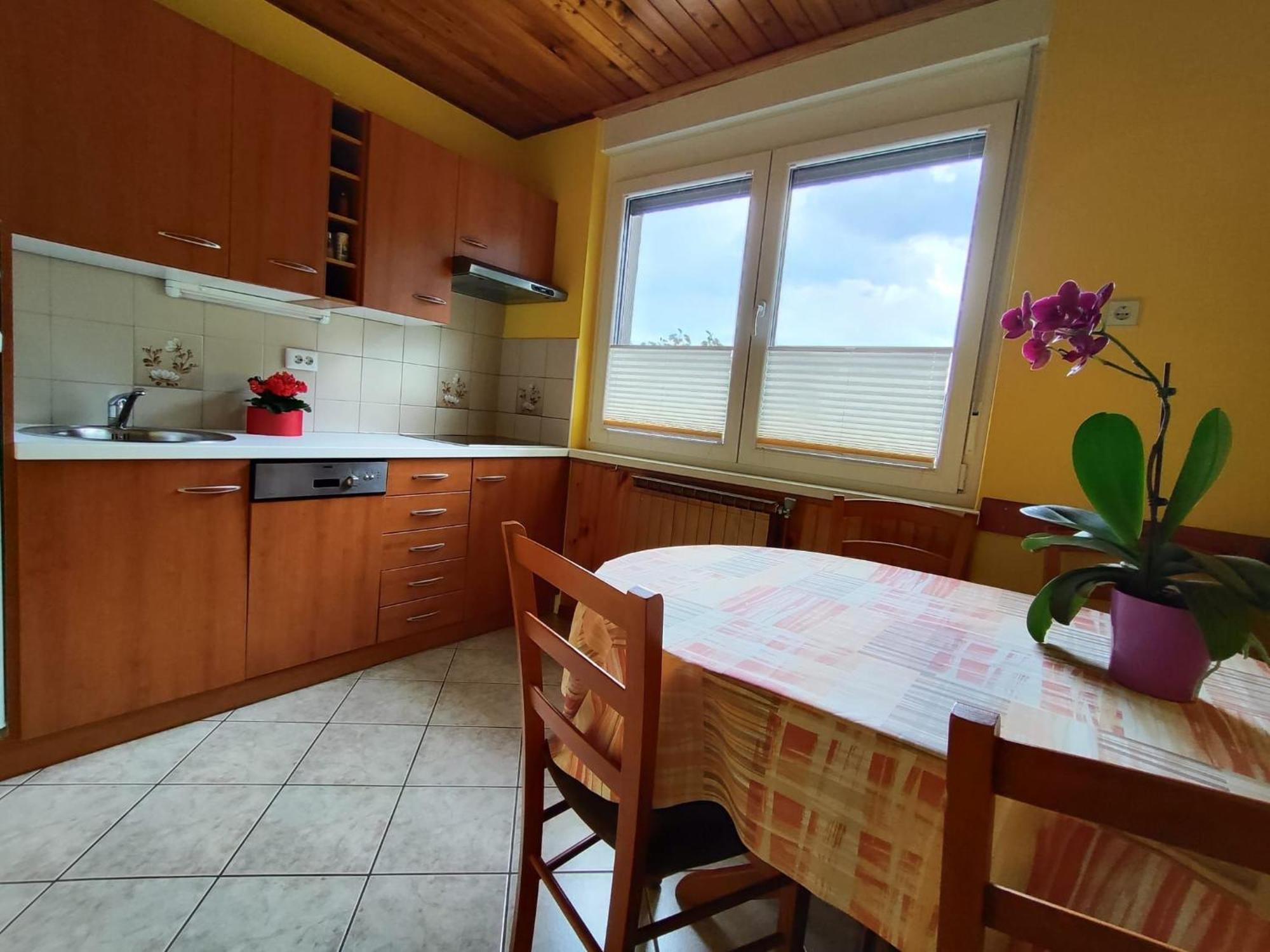 Apartment Kolman Tolmin Exterior foto